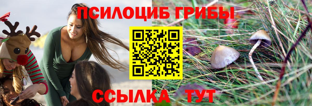 Бутират Новочеркасск